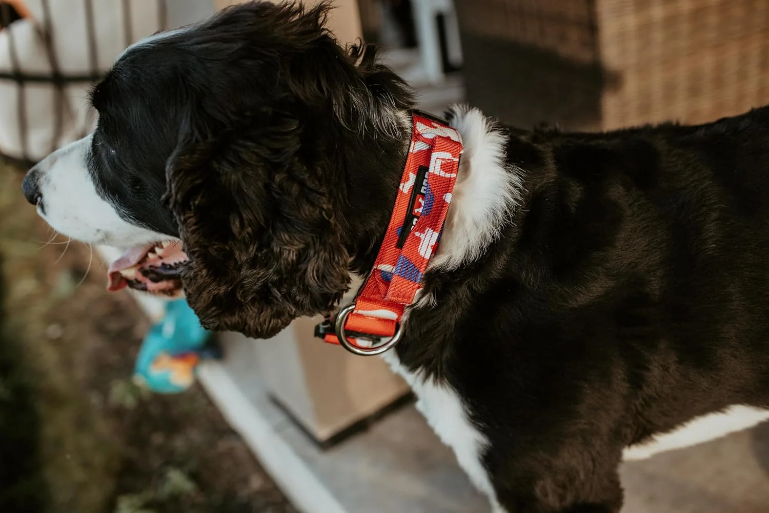 Boss Dog Tactical Adjustable Collar, Red, White & Blue Camo - Image 2
