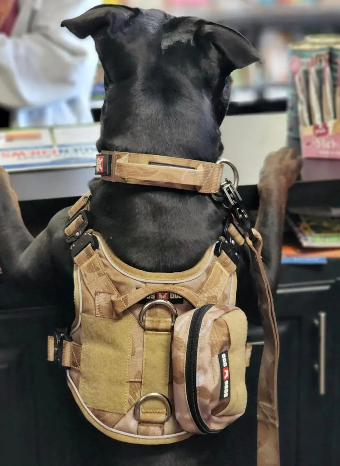 Boss Dog Tactical Molle Bag, Tan Camo - Image 2