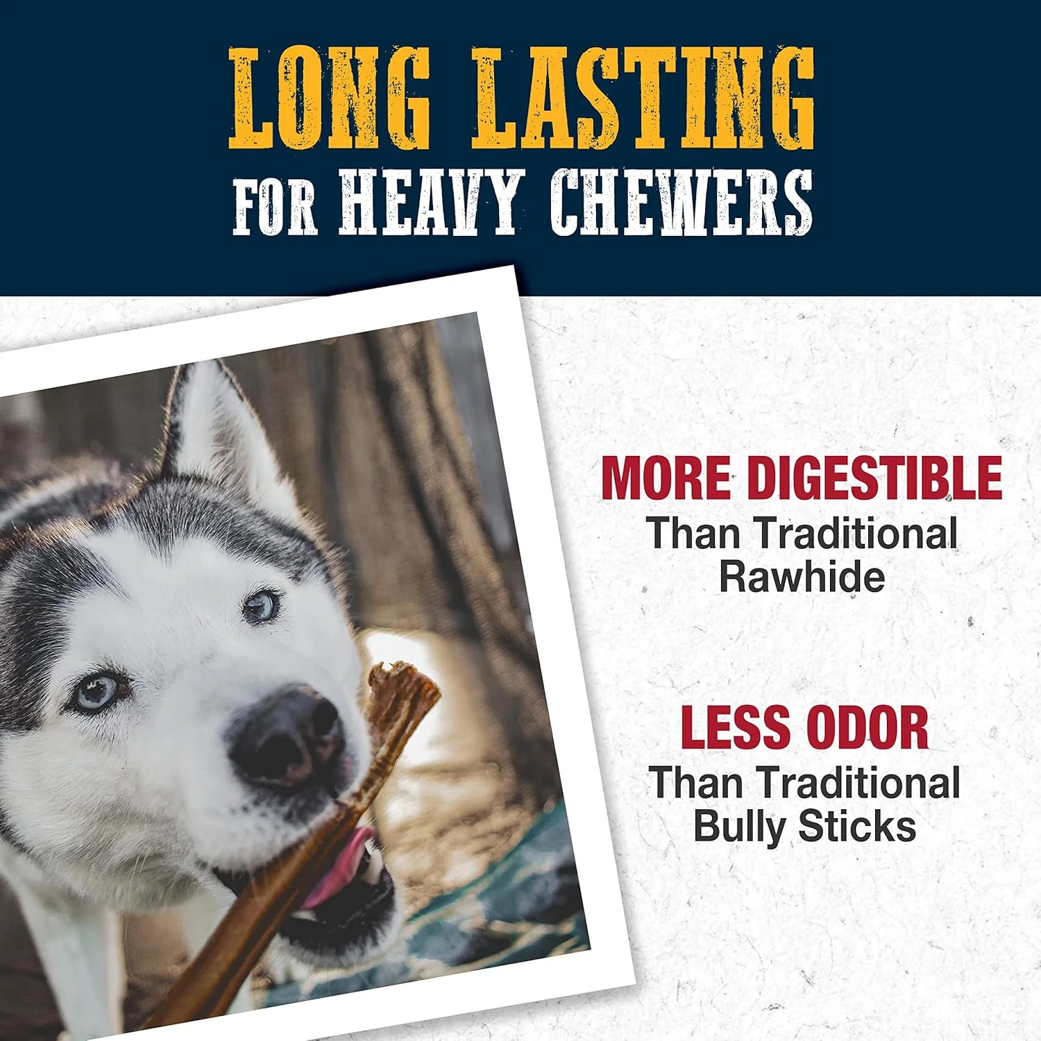 Cadet Bully Hide Sticks for Large Dogs, All-Natural Beef Pizzle, Limited-Ingredient Long-Lasting Dog Chews for Aggressive Chewers - Image 4