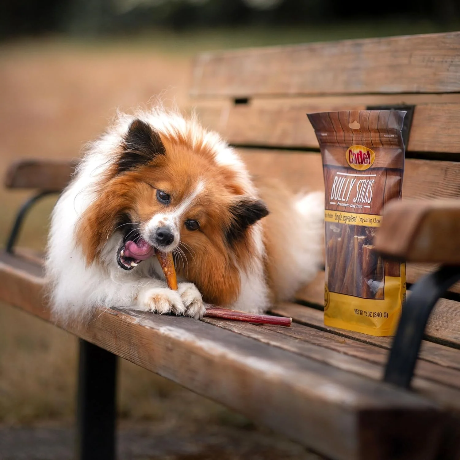 Cadet Bully Sticks for Extra-Small Dogs, All-Natural Beef Pizzle, Rawhide-Free Long-Lasting Dog Chews for Aggressive Chewers - Image 3