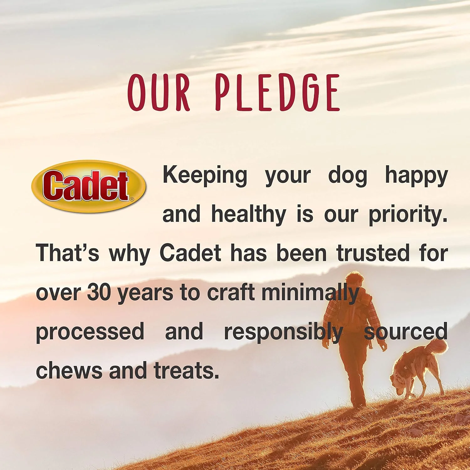 Cadet Bully Sticks for Small Dogs – All-Natural Beef Pizzle, High Protein, Low Fat, Long-Lasting, Grain & Rawhide-Free Dog Chews for Aggressive Chewers, Small - Image 10