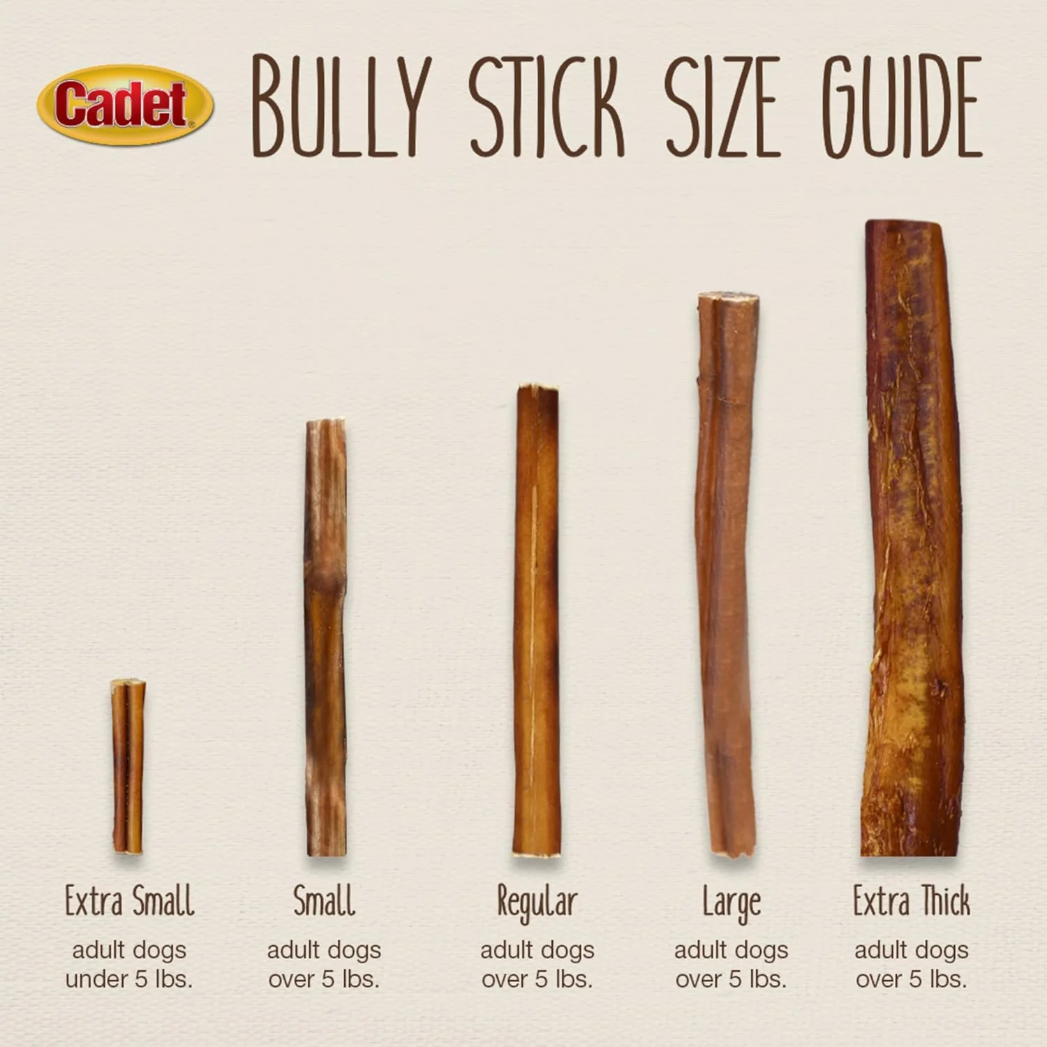 Cadet Bully Sticks for Small Dogs – All-Natural Beef Pizzle, High Protein, Low Fat, Long-Lasting, Grain & Rawhide-Free Dog Chews for Aggressive Chewers, Small - Image 6