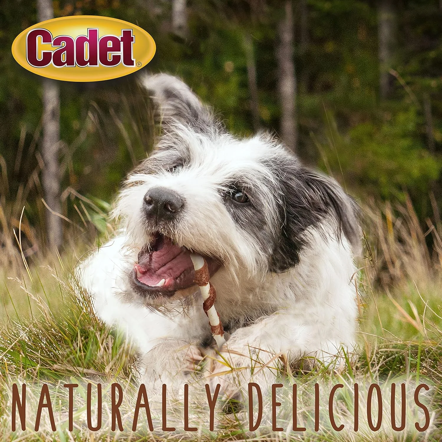 Cadet Gourmet Beef Hide Twist Chew Sticks, Long Lasting & Natural Chew Treats for Dogs, Inspected & Tested in USA, Duck Flavor - Image 5