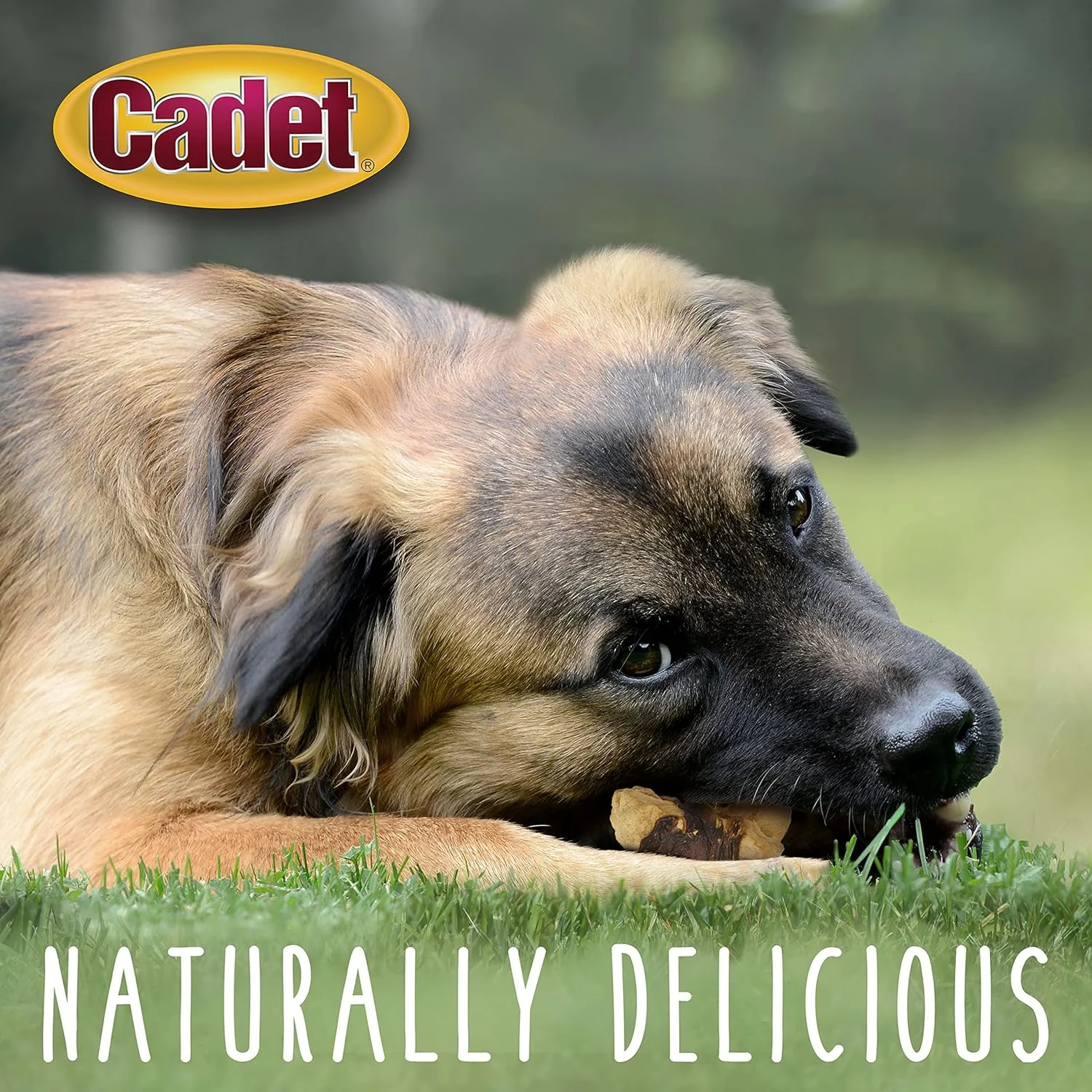 Cadet Gourmet Chicken & Apple Wrapped Dog Treats Wraps - Healthy & Natural Chicken & Apple Dog Training Treats for Small & Large Dogs - Inspected & Tested in USA - Image 3