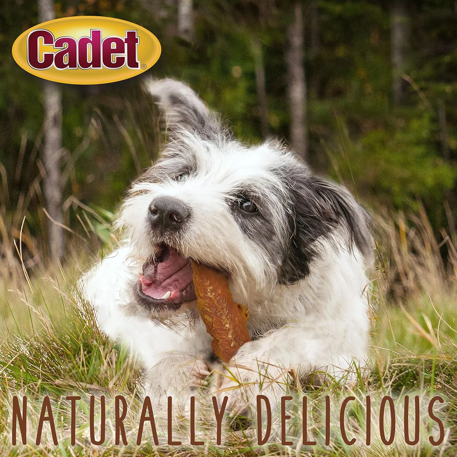 Cadet Gourmet Chicken Breast Dog Treats - Healthy & Natural Chicken Dog Training Treats for Small & Large Dogs - Inspected & Tested in USA - Image 5