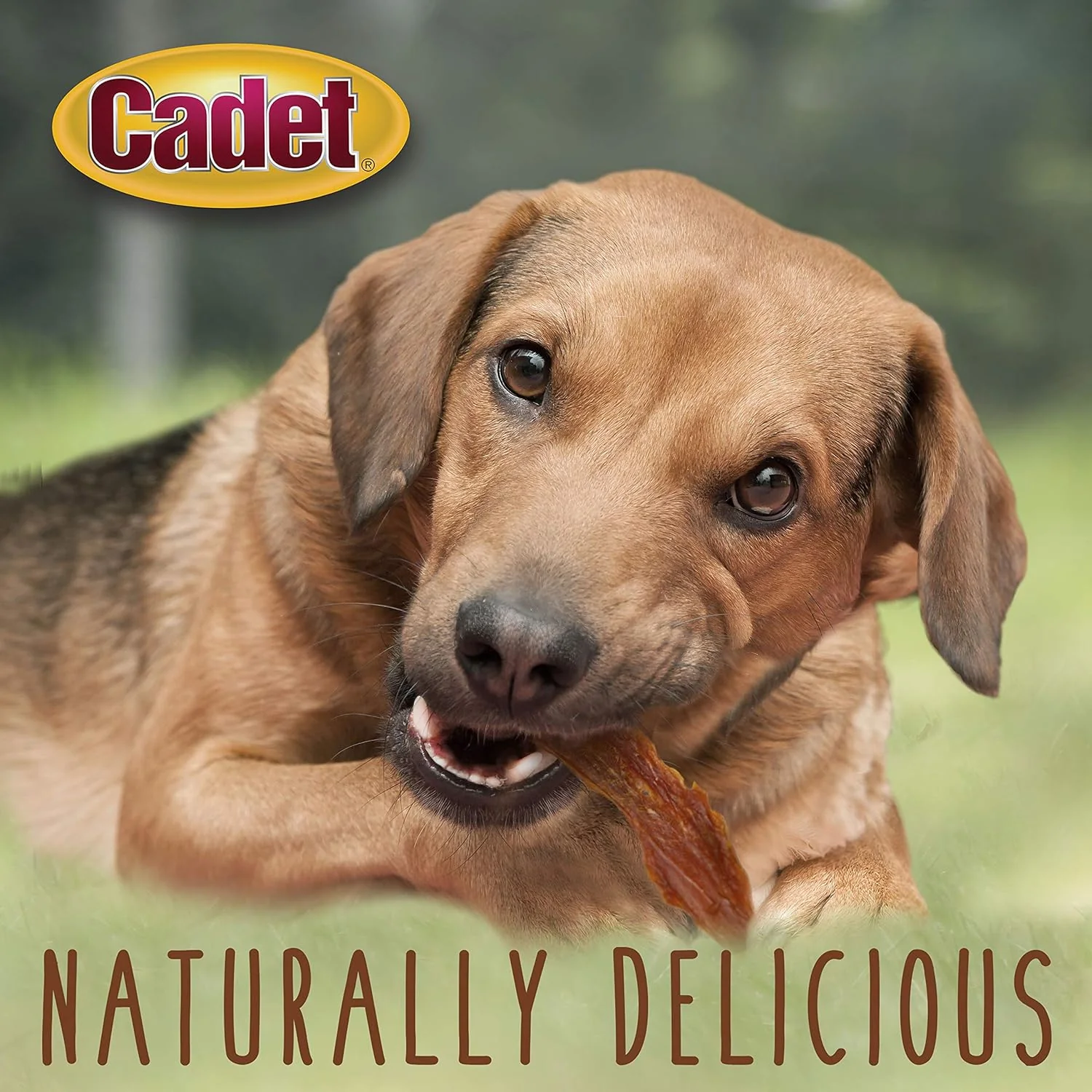 Cadet Gourmet Duck Breast Jerky Dog Treats, Healthy, Long-Lasting High-Protein Training Treats for Small & Large Dogs - Image 5