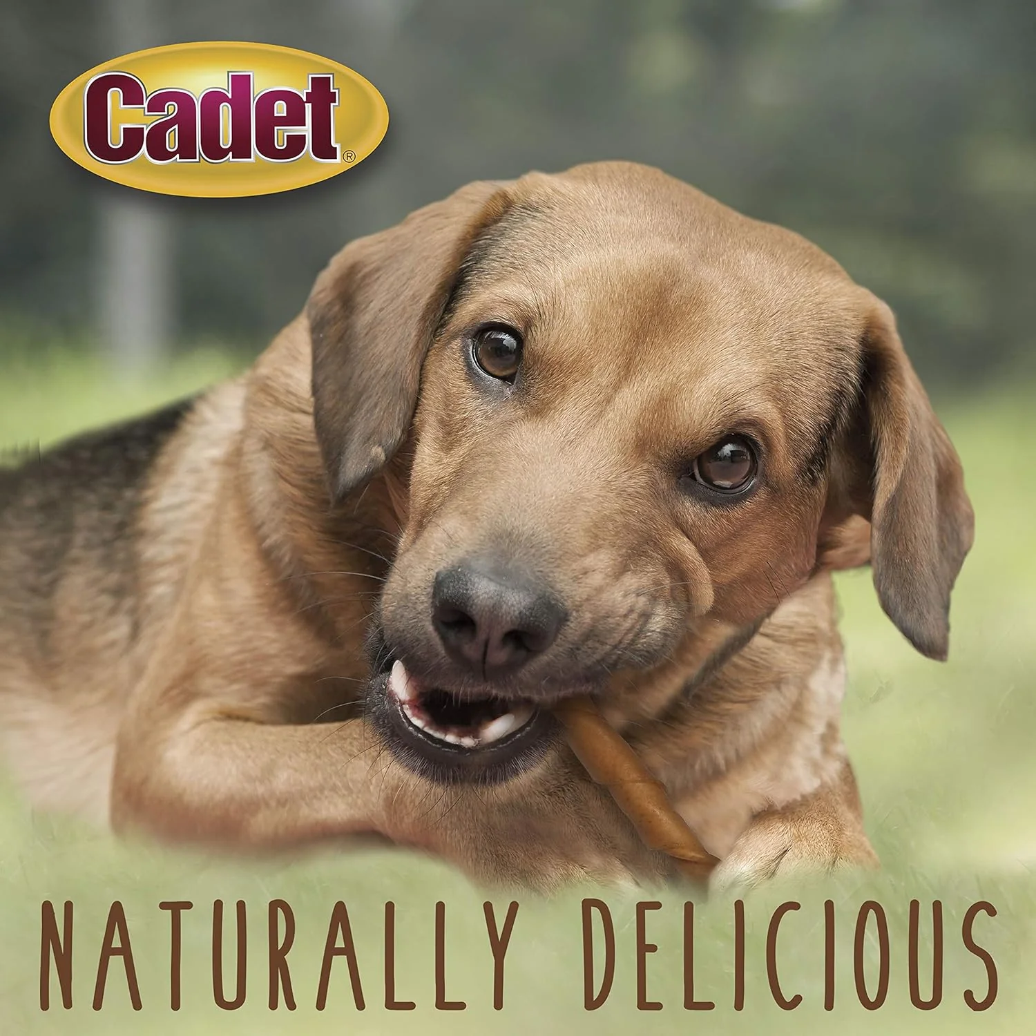 Cadet Gourmet Pork Hide Rolls - Image 4
