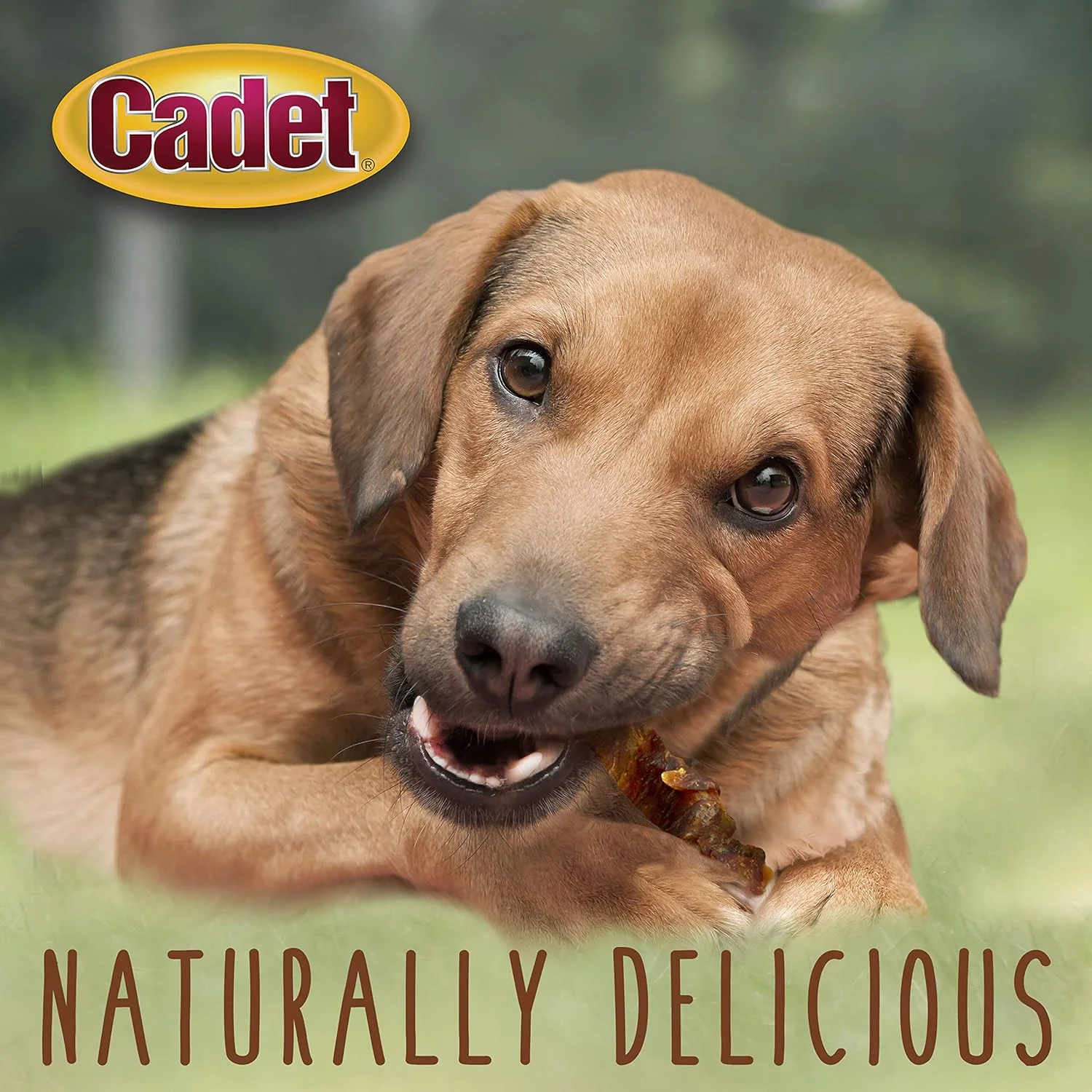 Cadet Gourmet Sweet Potato & Chicken Wraps Limited-Ingredient Dog Chews, Healthy and Natural Training Treats for Small and Large Dogs - Image 4