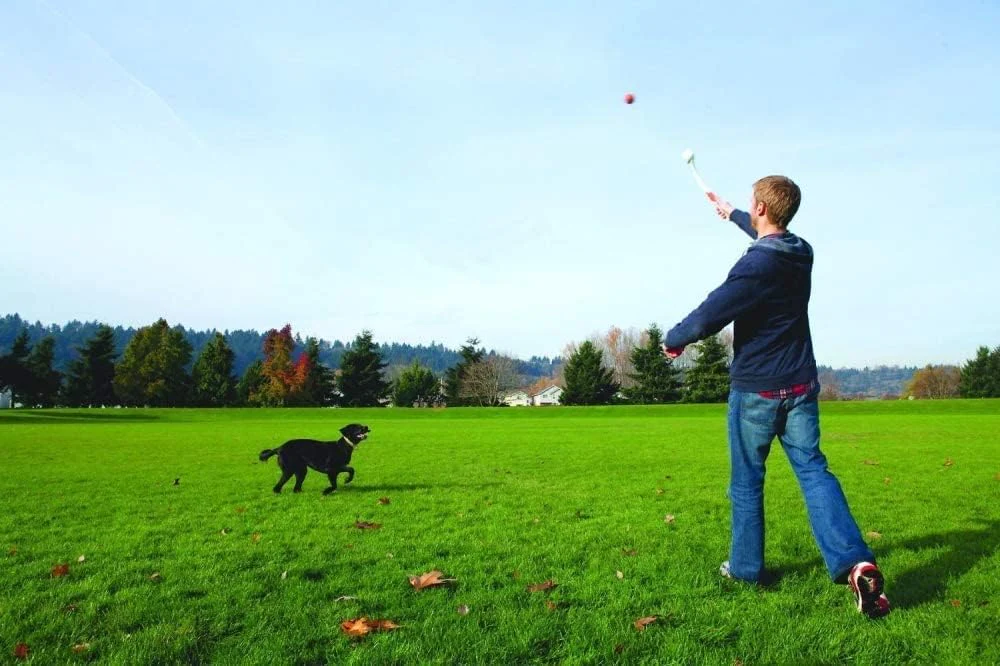 Chuckit! Classic Ball Launcher - Image 5