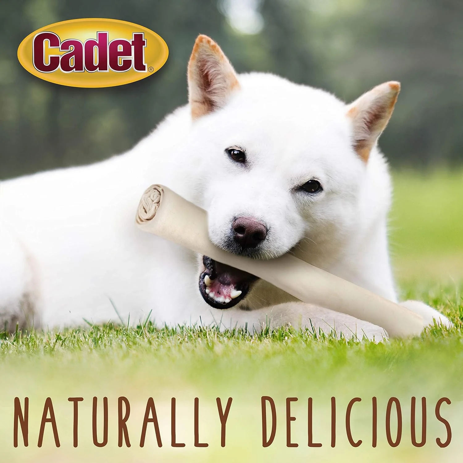 Cadet Premium Grade Beef Hide, Long-Lasting Rawhide Rolls, Single-Ingredient Dog Chews for Large Breeds - Image 4