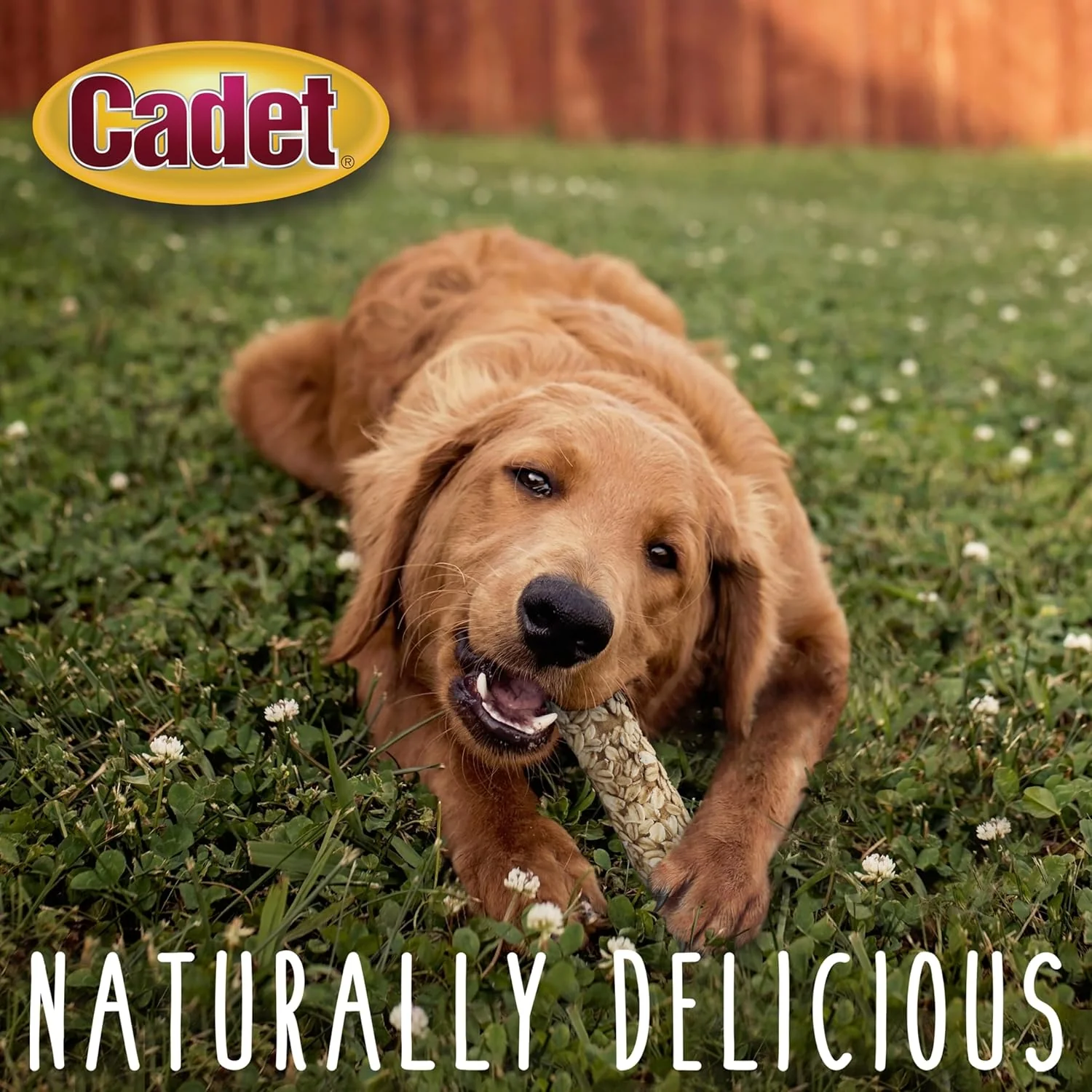 Cadet Smart Hide Rawhide Free Dog Treats – Oat Coated - Image 5