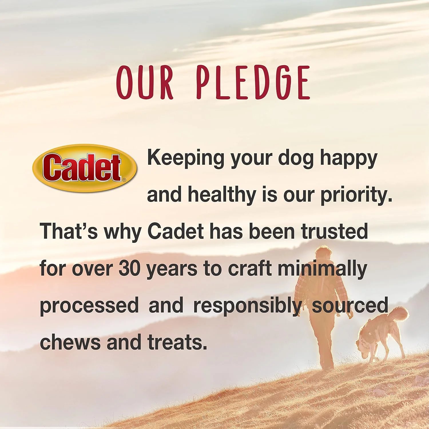 Cadet Smart Hide Rawhide Free Dog Treats – Oat Coated - Image 7