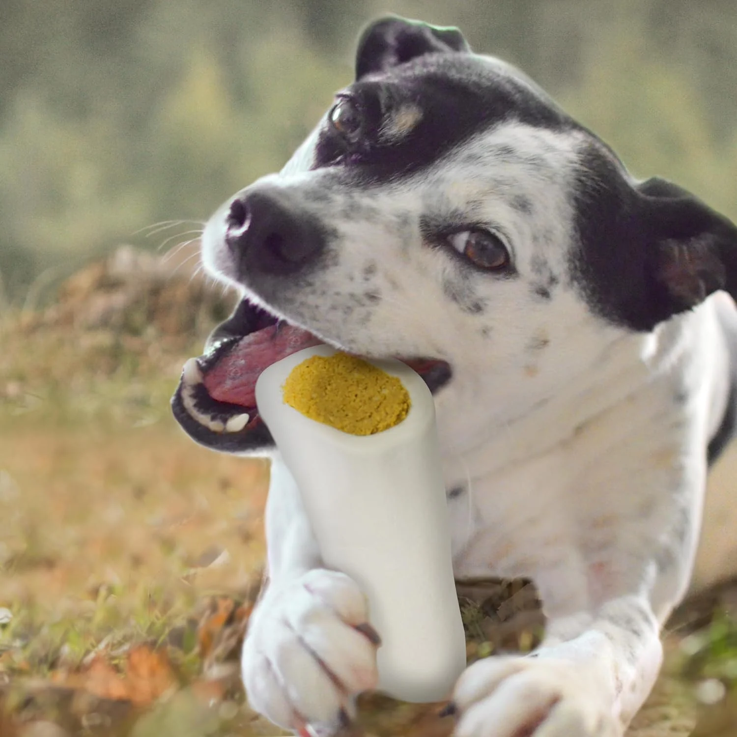 Cadet Stuffed Shin Bone - Highly Digestible, High Protein, Long-Lasting Dog Chew Bone for Aggressive Chewers, Supports Dental Health, - Cheese Flavor - Image 3