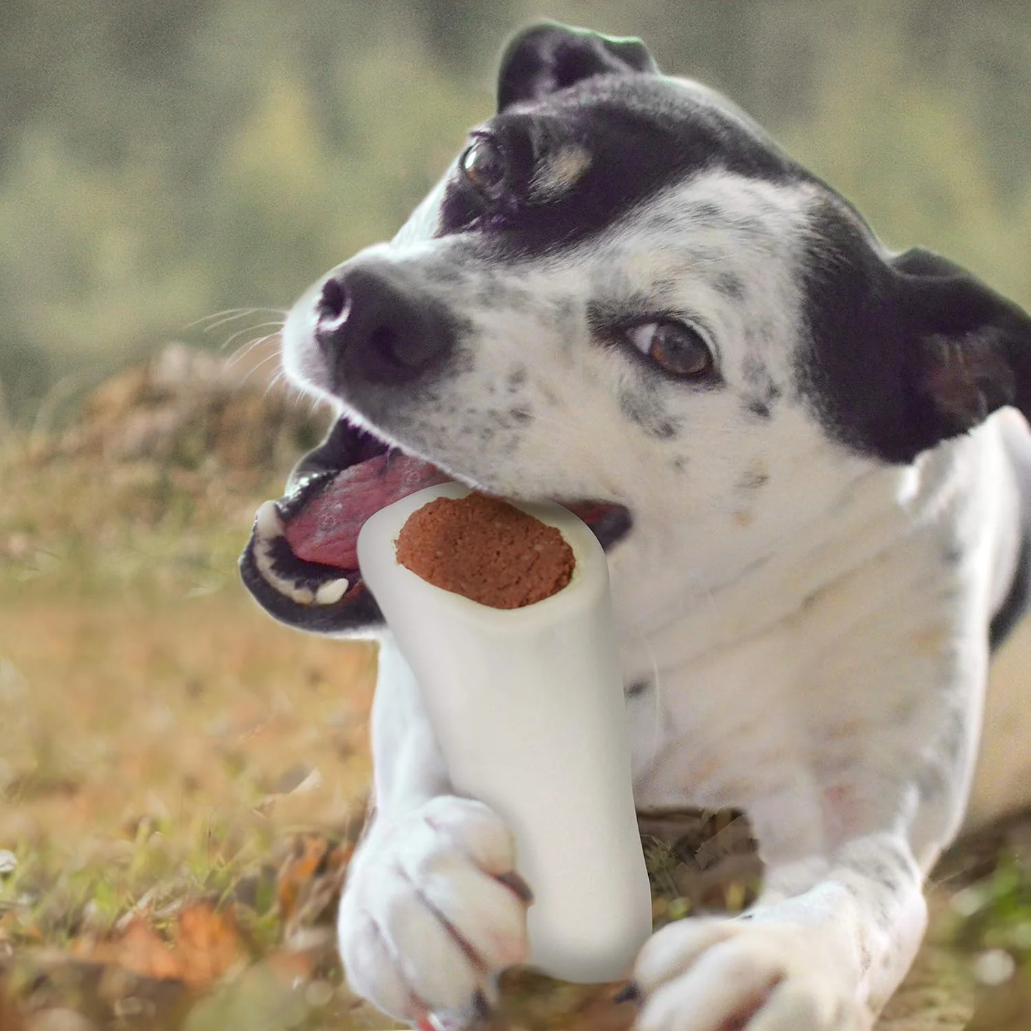 Cadet Stuffed Shin Bone - Highly Digestible, High Protein, Long-Lasting Dog Chew Bone for Aggressive Chewers, Supports Dental Health, - Chicken Flavor, Large - Image 8