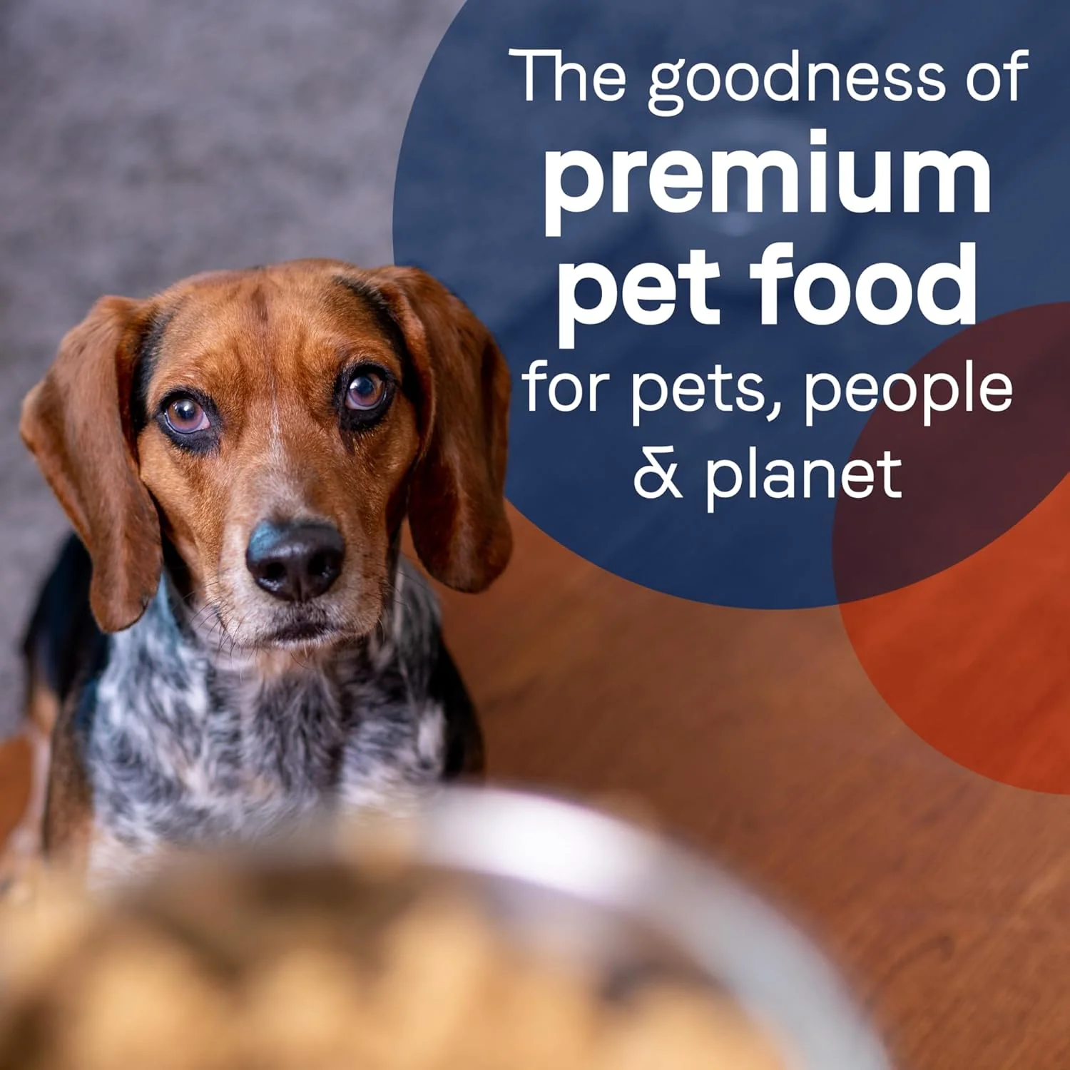 CANIDAE® PURE Lamb, Turkey & Chicken Recipe Dog Wet - Image 7