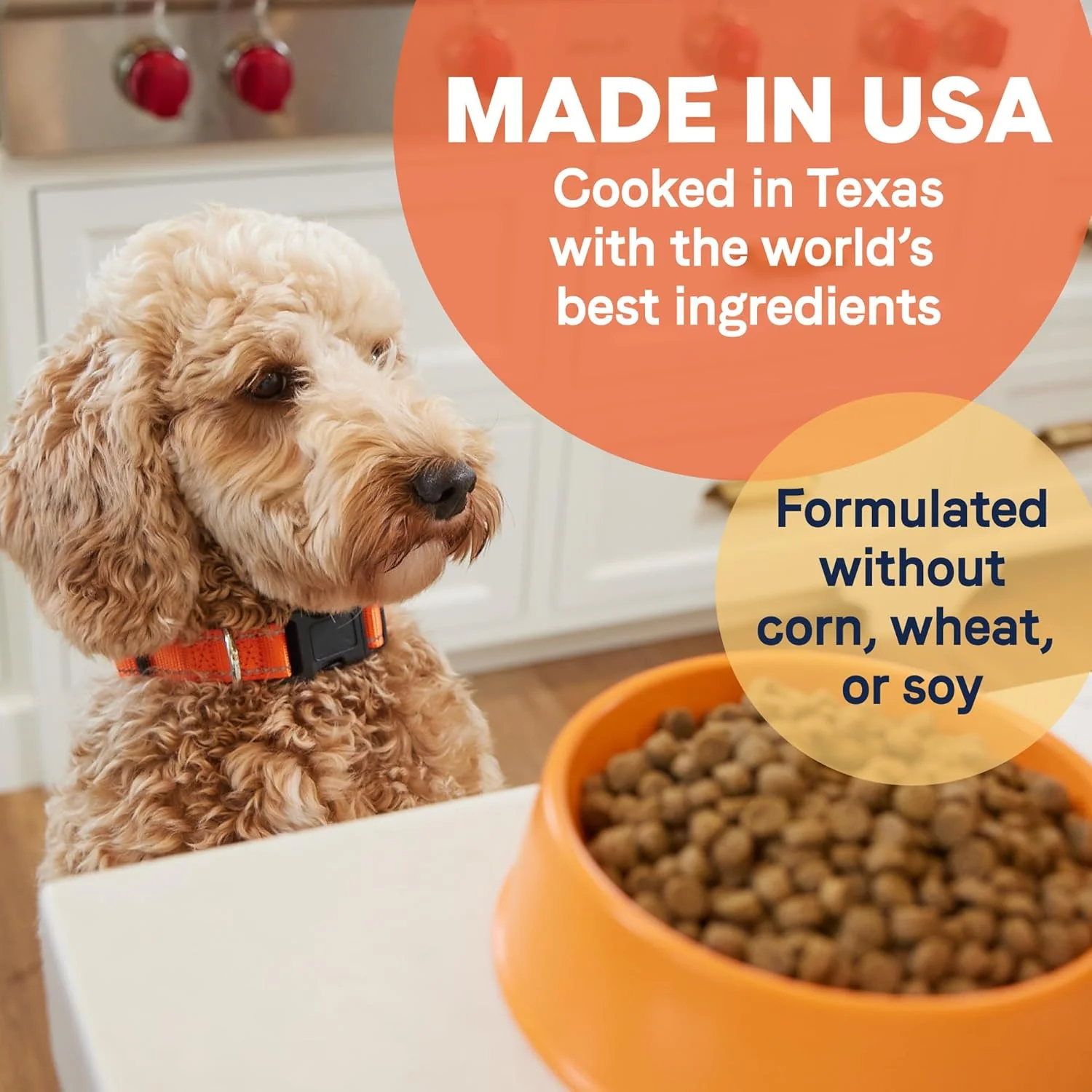 Canidae All Life Stages Premium Dry Dog Food for All Breeds, Multi-Protein Recipe with Chicken, Turkey & Lamb Meals Recipe, For All Ages & Multi-Dog Homes - Image 5
