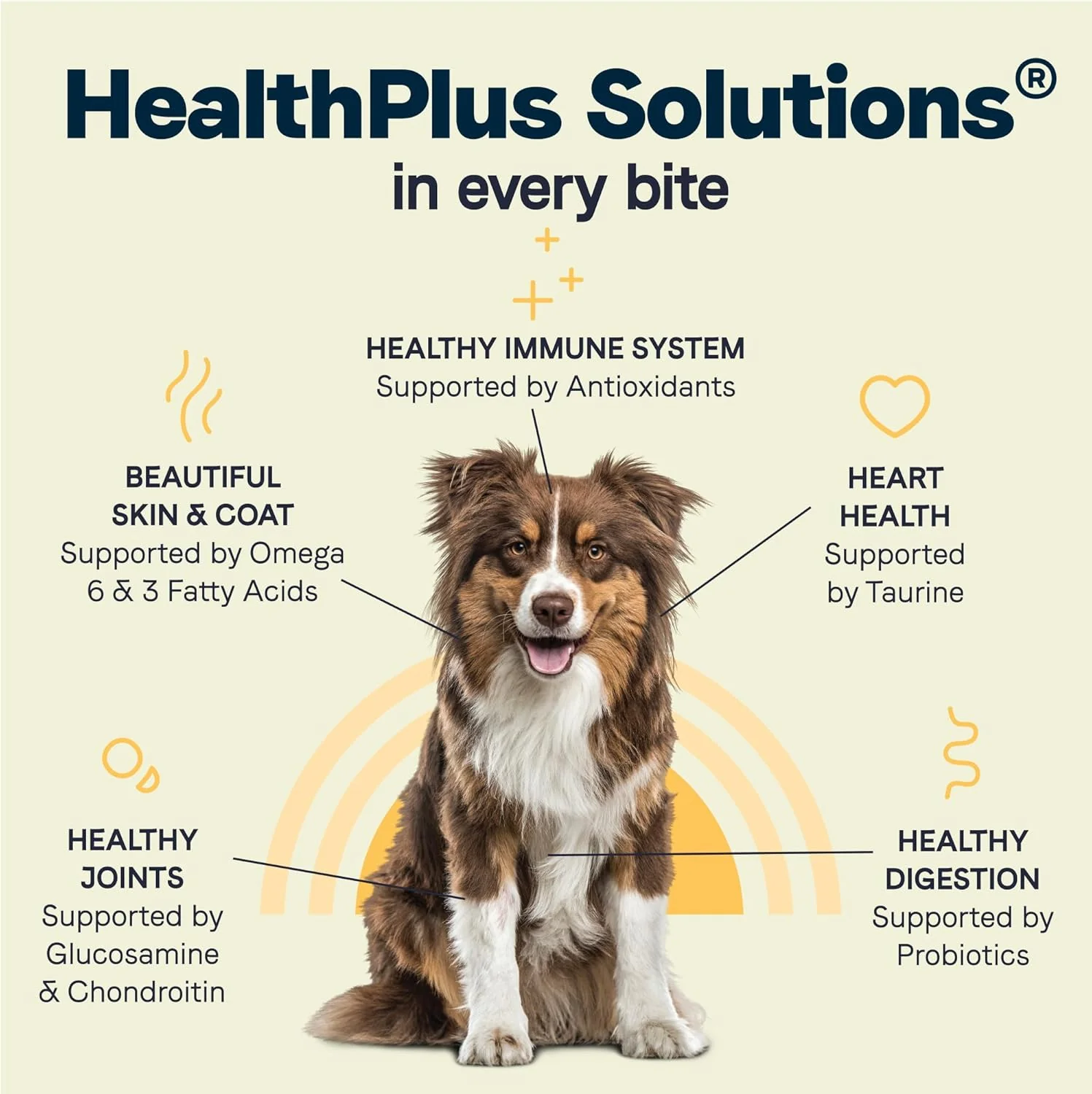 Canidae All Life Stages Premium Dry Dog Food for All Breeds, Multi-Protein Recipe with Chicken, Turkey & Lamb Meals Recipe, For All Ages & Multi-Dog Homes - Image 6