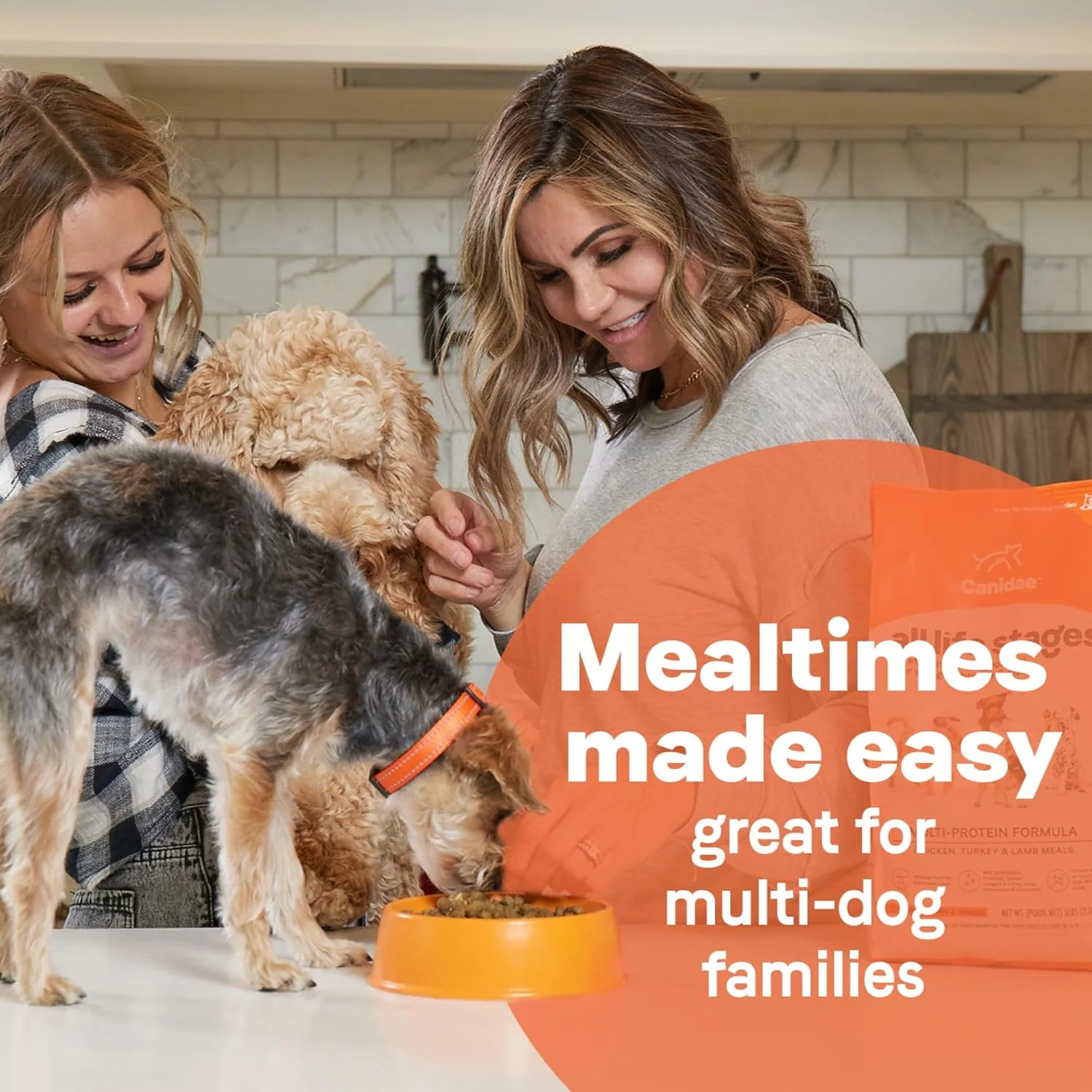 Canidae All Life Stages Premium Dry Dog Food for All Breeds, Multi-Protein Recipe with Chicken, Turkey & Lamb Meals Recipe, For All Ages & Multi-Dog Homes - Image 8