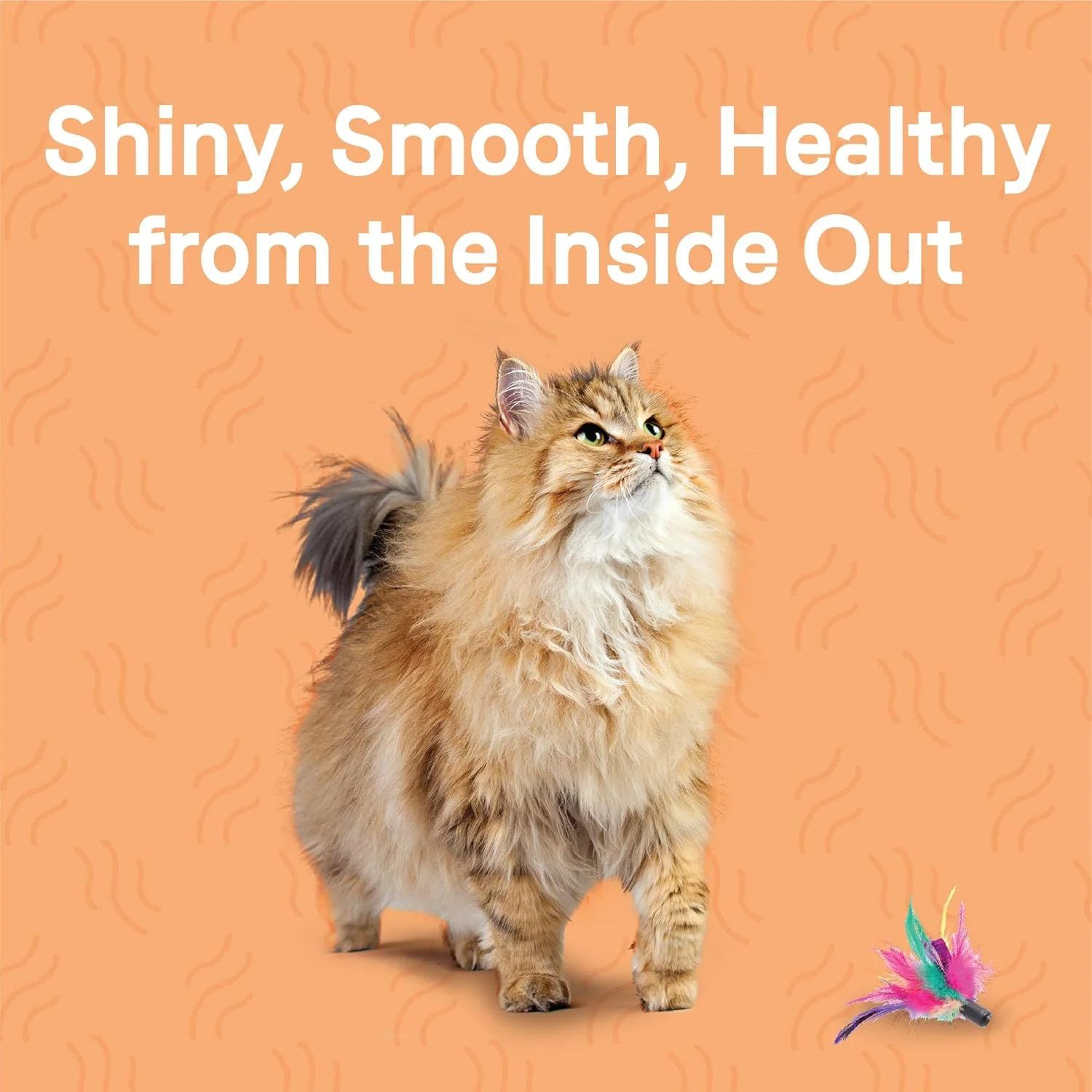 Canidae Goodness for Skin and Coat, Premium Adult Dry Cat Food with Real Salmon - Image 2