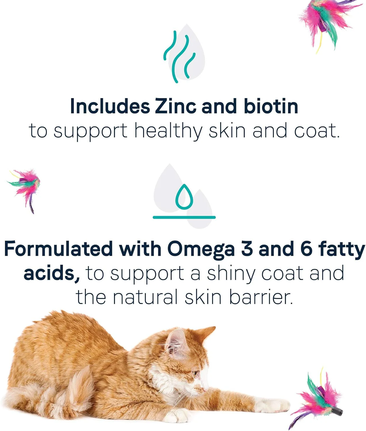 Canidae Goodness for Skin and Coat, Premium Adult Dry Cat Food with Real Salmon - Image 3