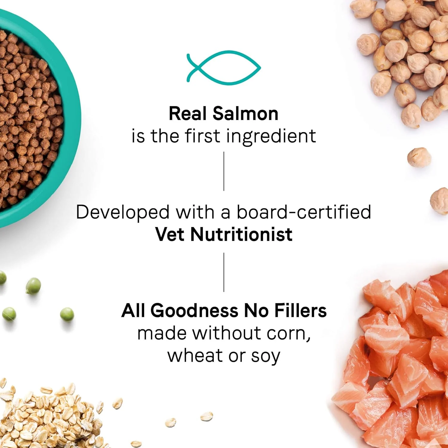 Canidae Goodness for Skin and Coat, Premium Adult Dry Cat Food with Real Salmon - Image 4