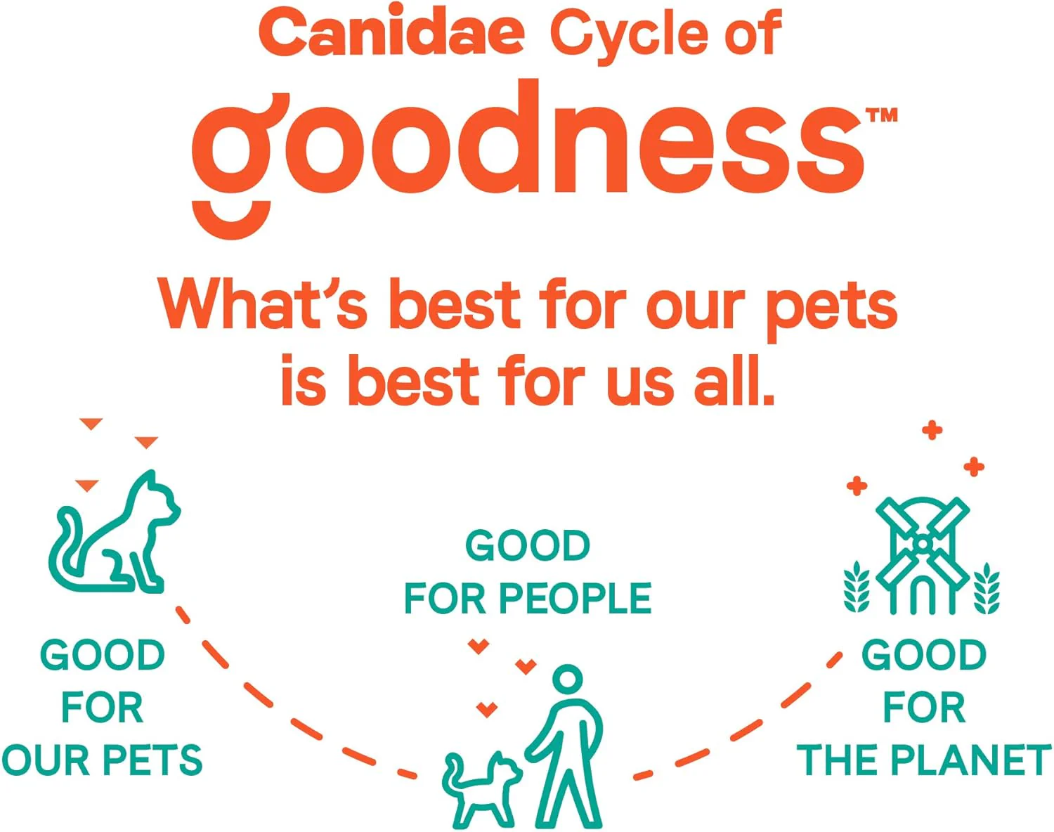 Canidae Goodness for Skin and Coat, Premium Adult Dry Cat Food with Real Salmon - Image 5