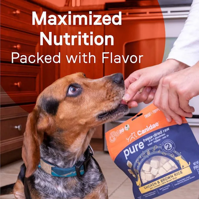 Canidae Pure 3-in-1 Goodness Premium Freeze-Dried Raw Dog Food with Chicken & Brown Rice - Image 8