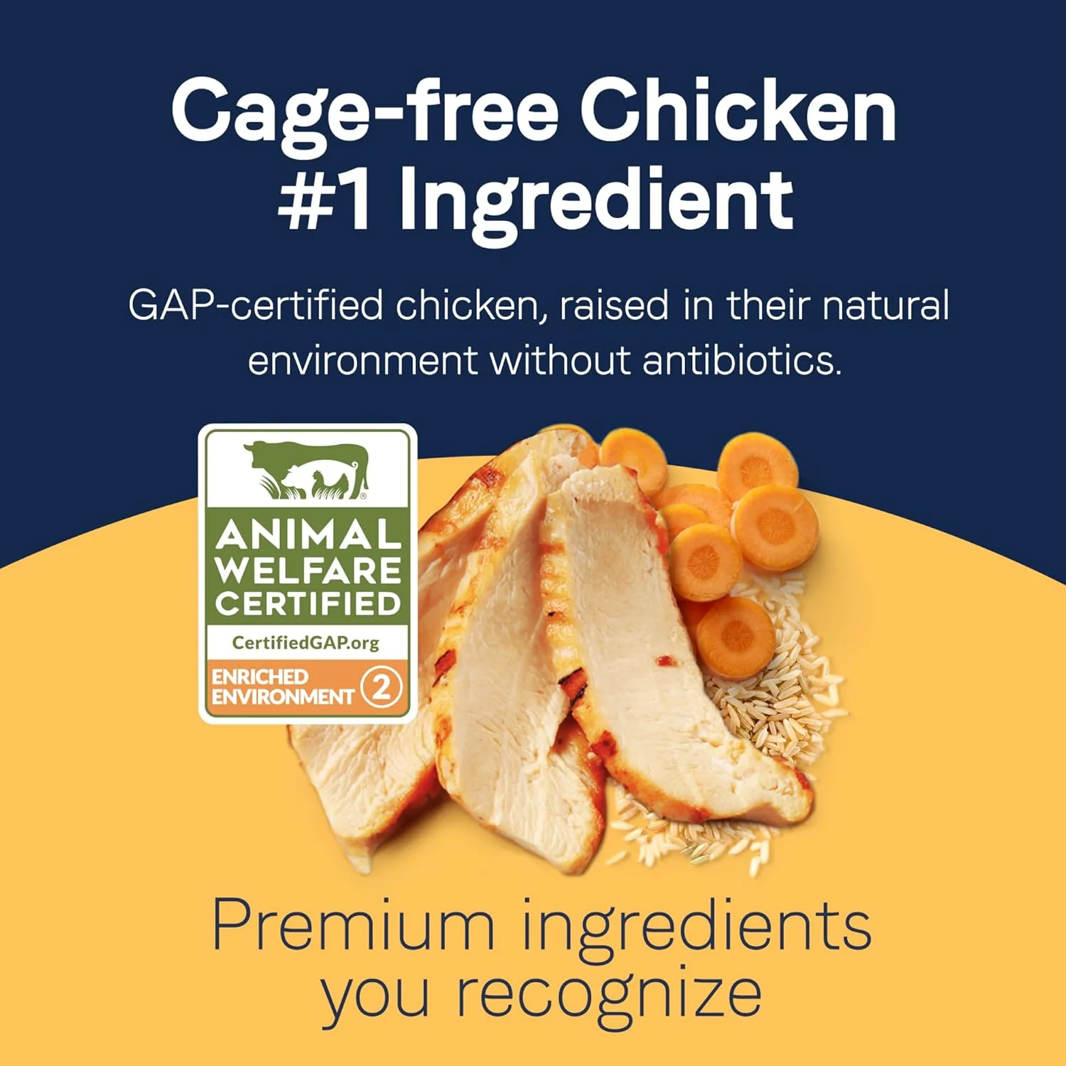 Canidae Pure Bone Broth Topper with Real Chicken & Rice Wet Dog Food - Image 3