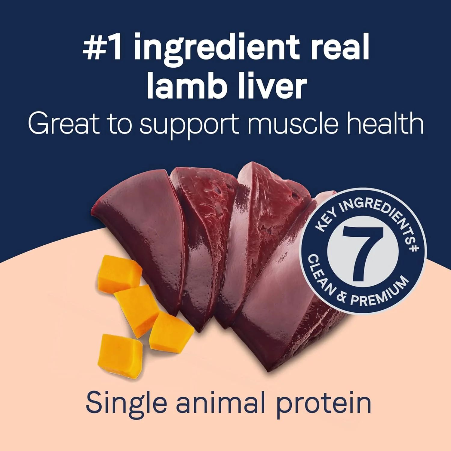 CANIDAE Pure Dog Treat Biscuits with Lamb Liver & Butternut Squash, Grain Free - Image 4