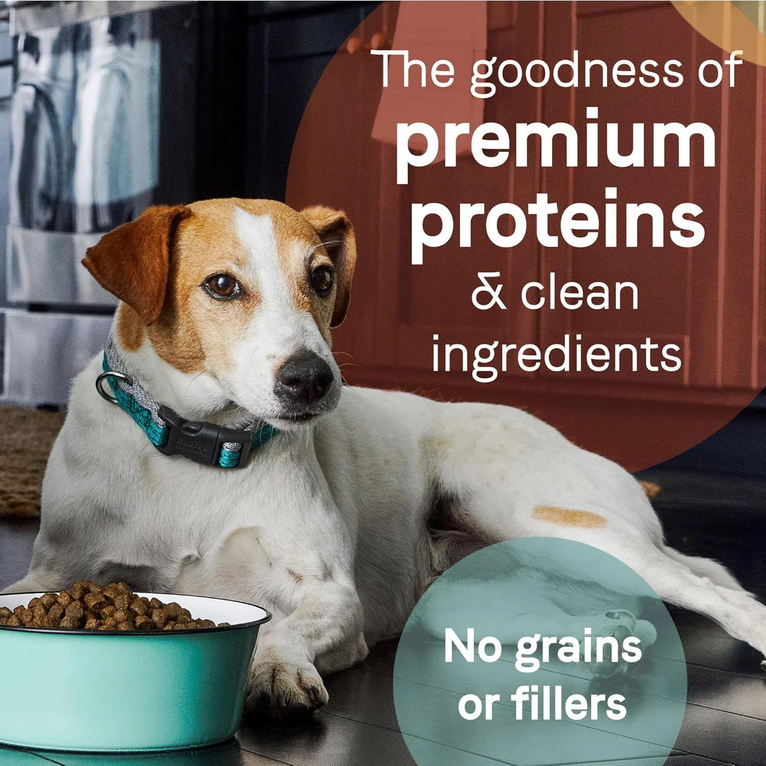Canidae Pure Real Lamb, Goat & Venison Meals Recipe Adult Dry Dog Food - Image 8