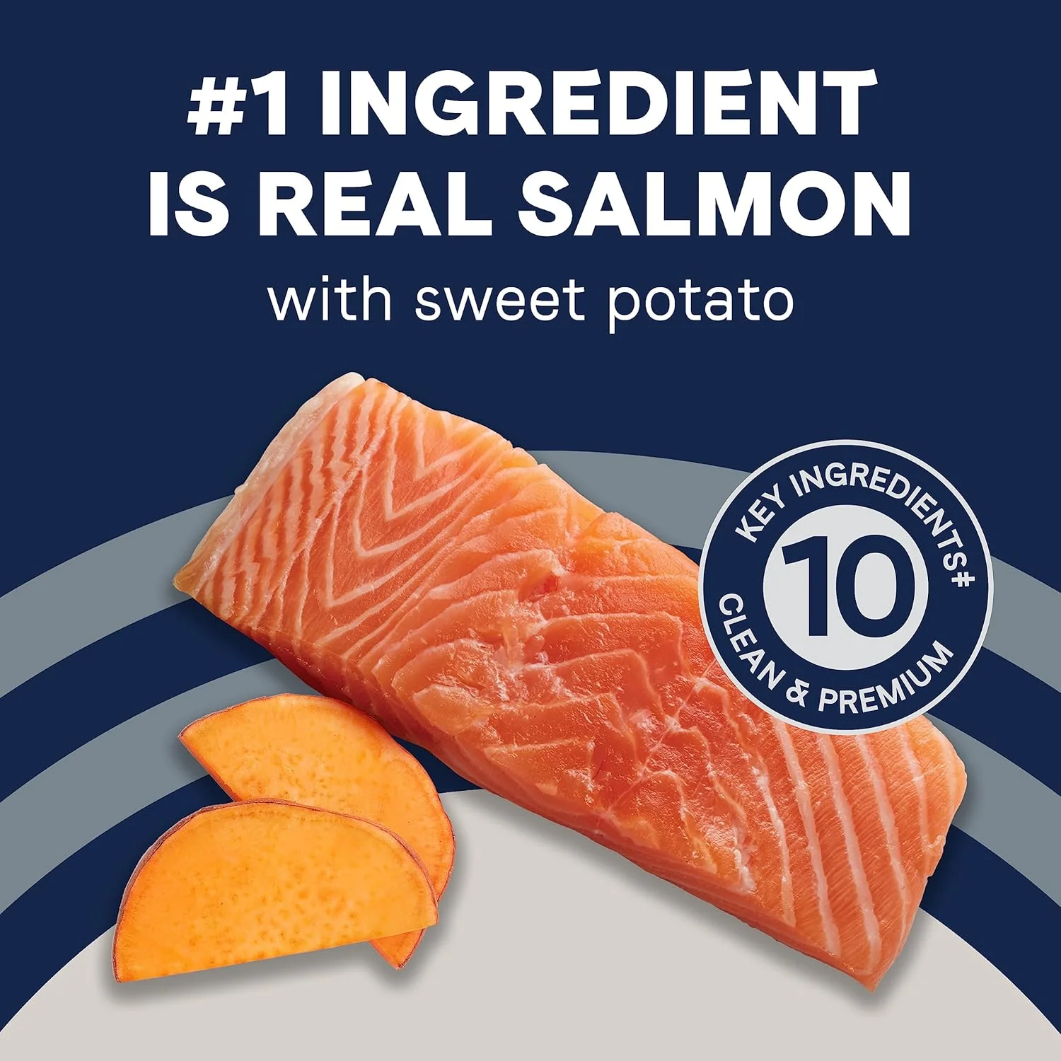 Canidae Pure Real Salmon & Sweet Potato Recipe Adult Dry Dog - Image 5
