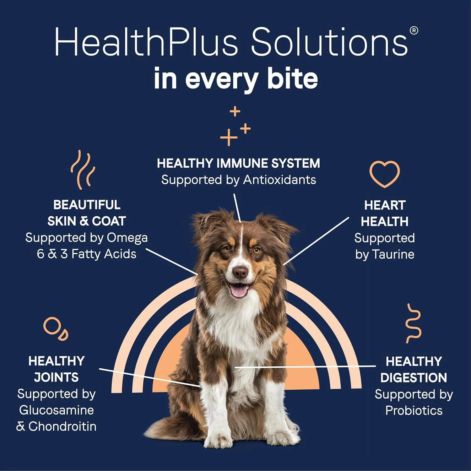 Canidae Pure Real Salmon & Sweet Potato Recipe Adult Dry Dog - Image 7