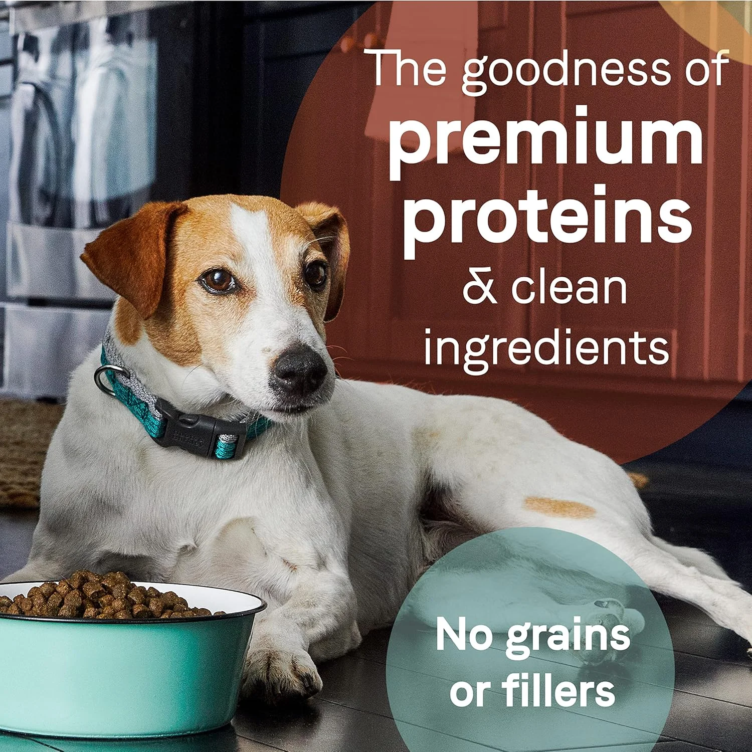 Canidae Pure Real Salmon & Sweet Potato Recipe Adult Dry Dog - Image 9
