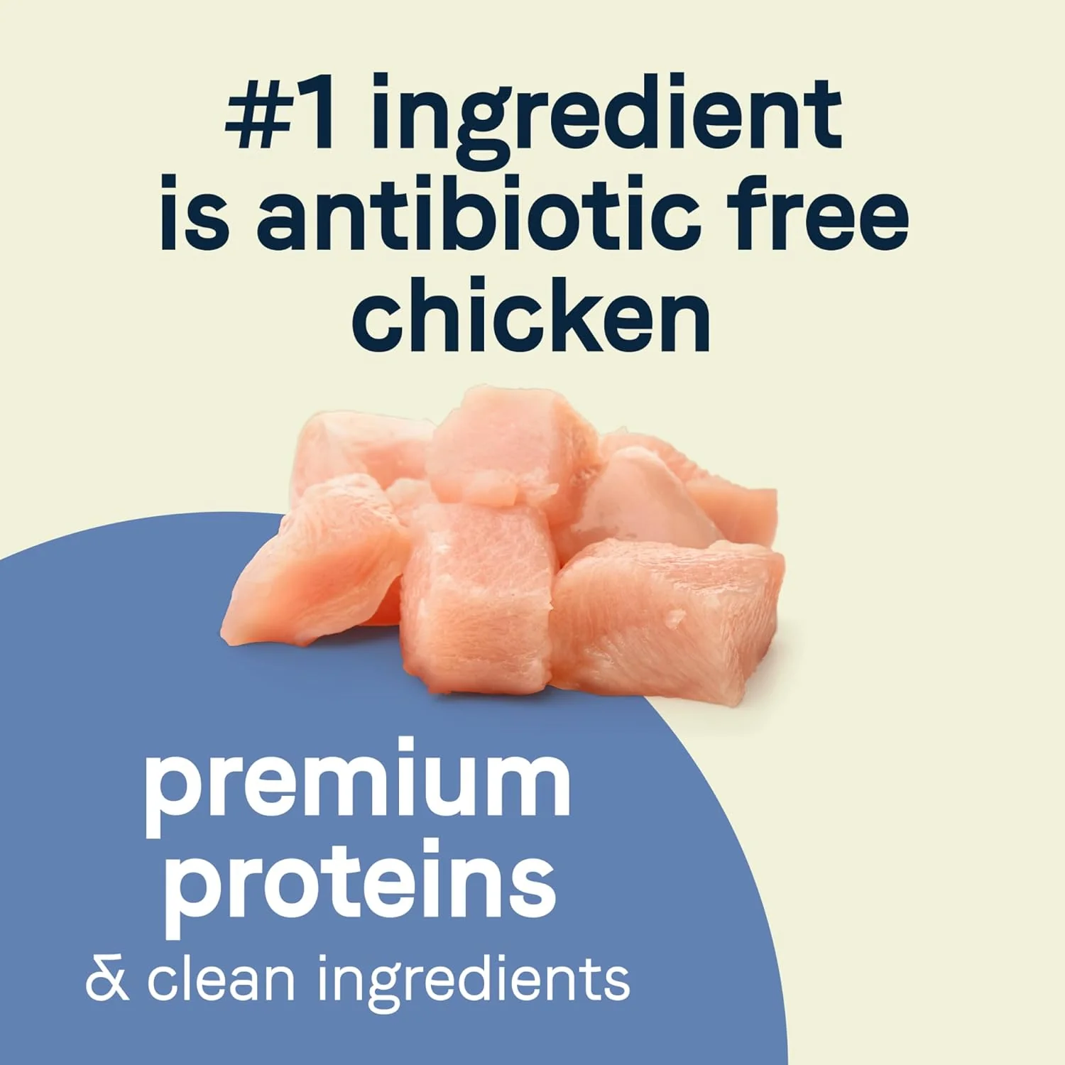 Canidae Pure Petite Premium Dry Dog Food for Small Breeds, Chicken & Wholesome Grains Recipe - Image 3