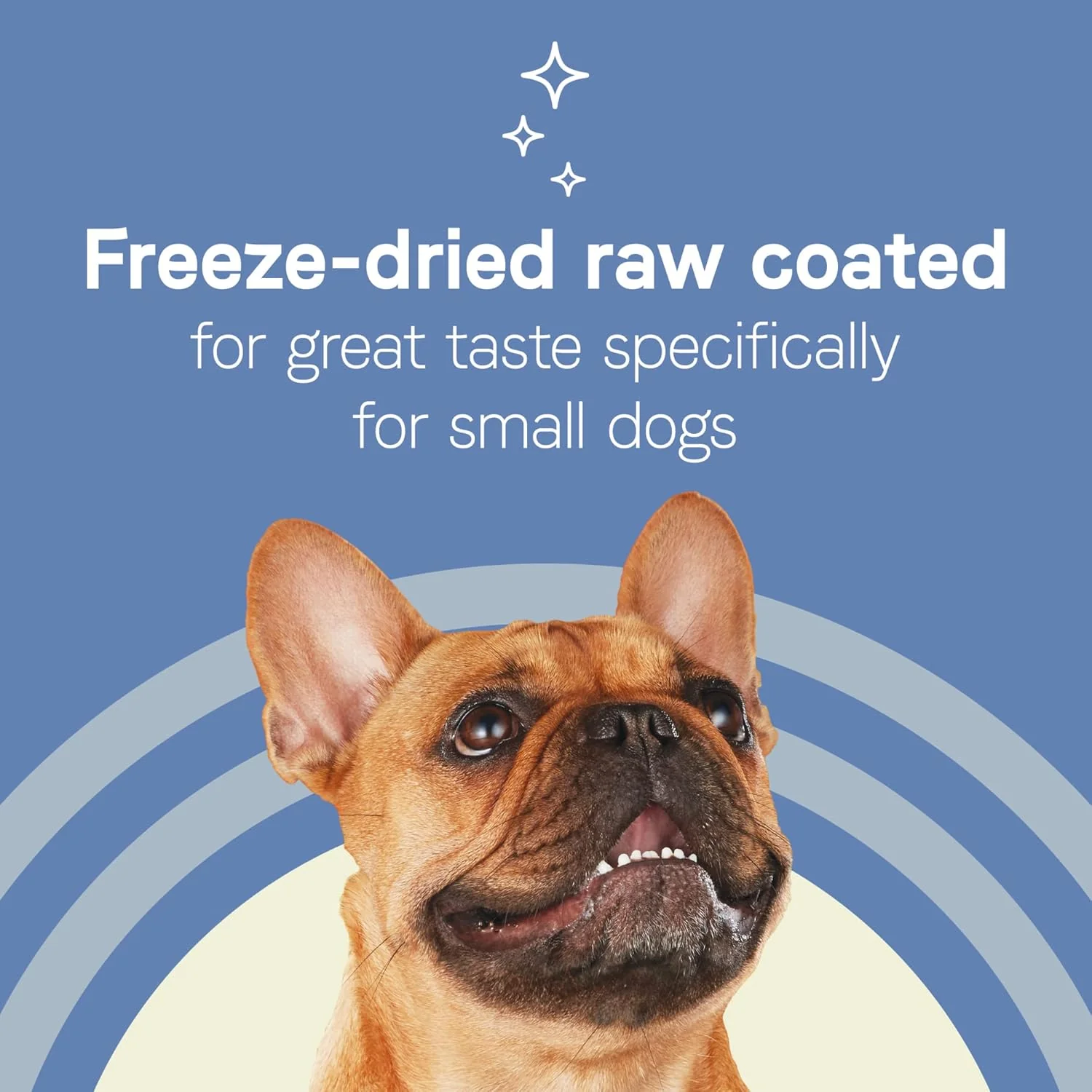 Canidae Pure Petite Premium Dry Dog Food for Small Breeds, Chicken & Wholesome Grains Recipe - Image 4