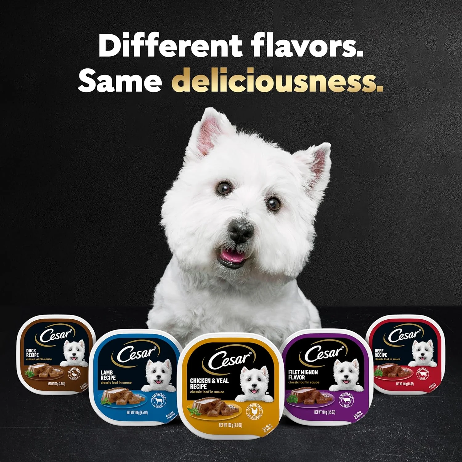 CESAR Adult Soft Wet Dog Food Classic Loaf in Sauce, Chicken & Liver Recipe - Image 6