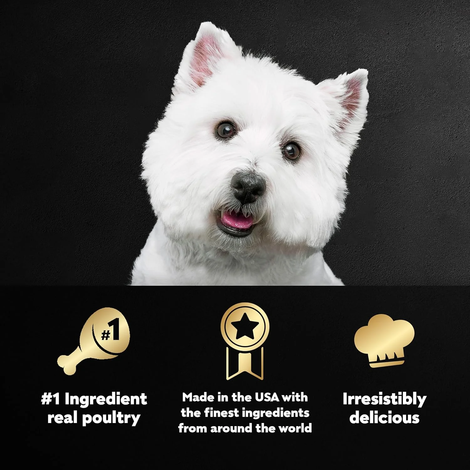 CESAR Adult Wet Dog Food Classic Loaf in Sauce Poultry Variety Pack,. Easy Peel Trays with Real Chicken, Turkey or Duck - Image 5