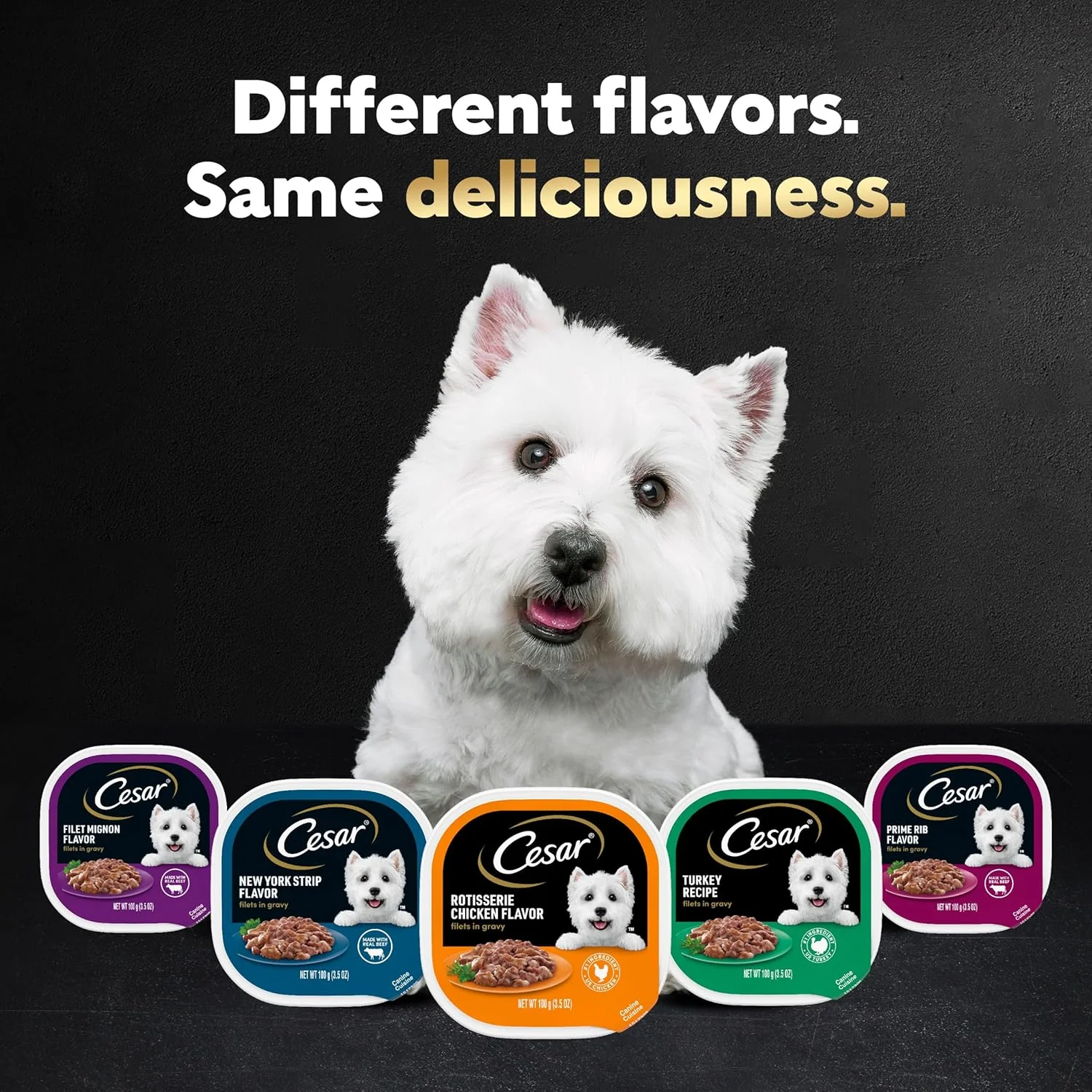 CESAR Filets in Gravy Adult Wet Dog Food, Filet Mignon and New York Strip Flavors Variety Pack - Image 7