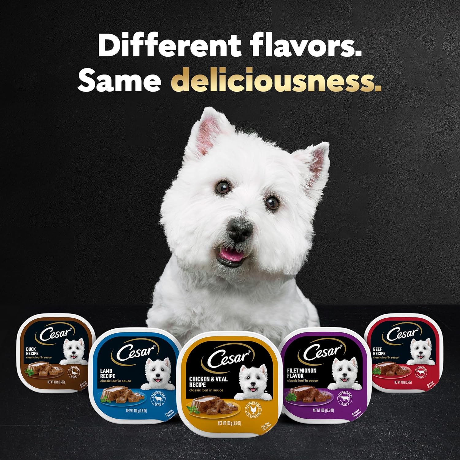 Cesar Wet Dog Food Classic Loaf in Sauce Filet Mignon and Porterhouse Steak Flavors Variety Pack, 3.5 oz. Easy Peel Trays (12 Count, Pack of 1) - Image 6