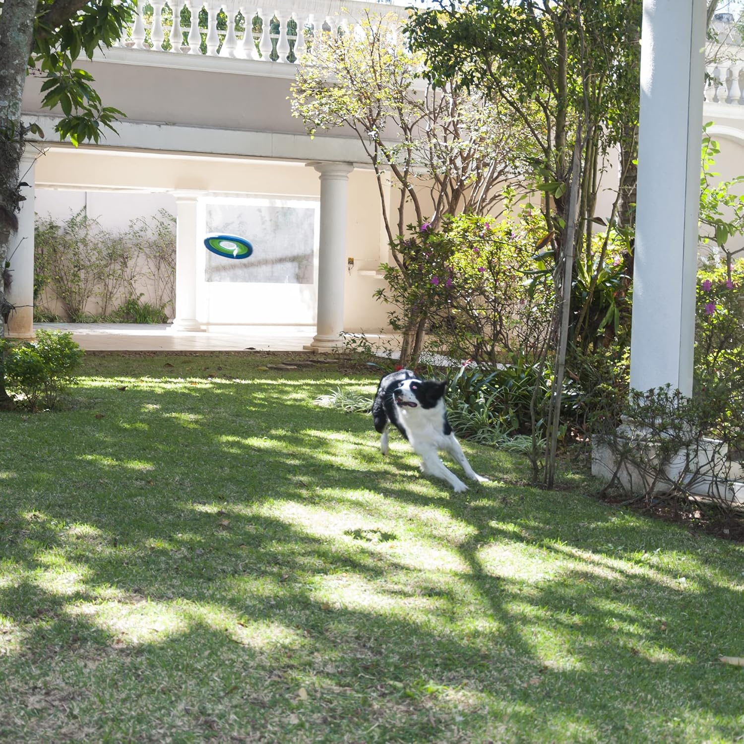 ChuckIt! 31389 7" Pet Lite Flight - Image 2