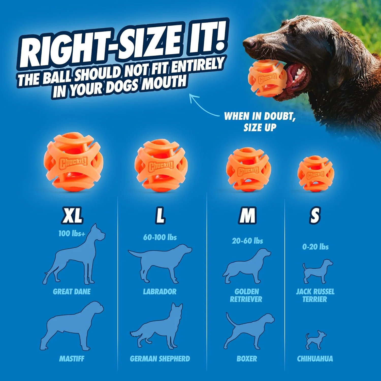 Chuckit! Air Fetch Ball Dog Toy - For Dogs 60-100 lbs - Bouncy and Durable - Hollow Design - Image 5