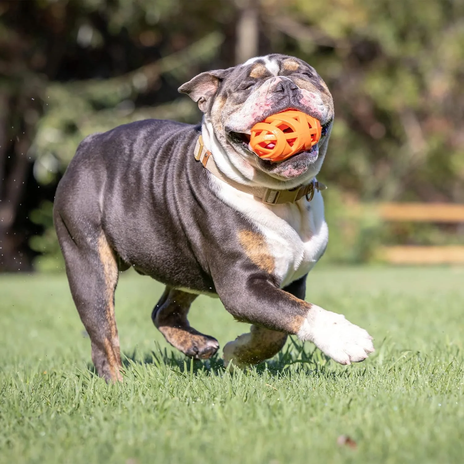 Chuckit! Air Fetch Football Dog Toy, Orange - Image 2