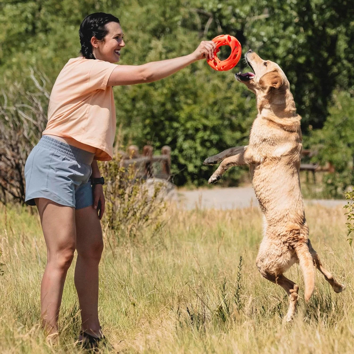Chuckit! Air Fetch Wheel Doy Toy, Orange - Image 6