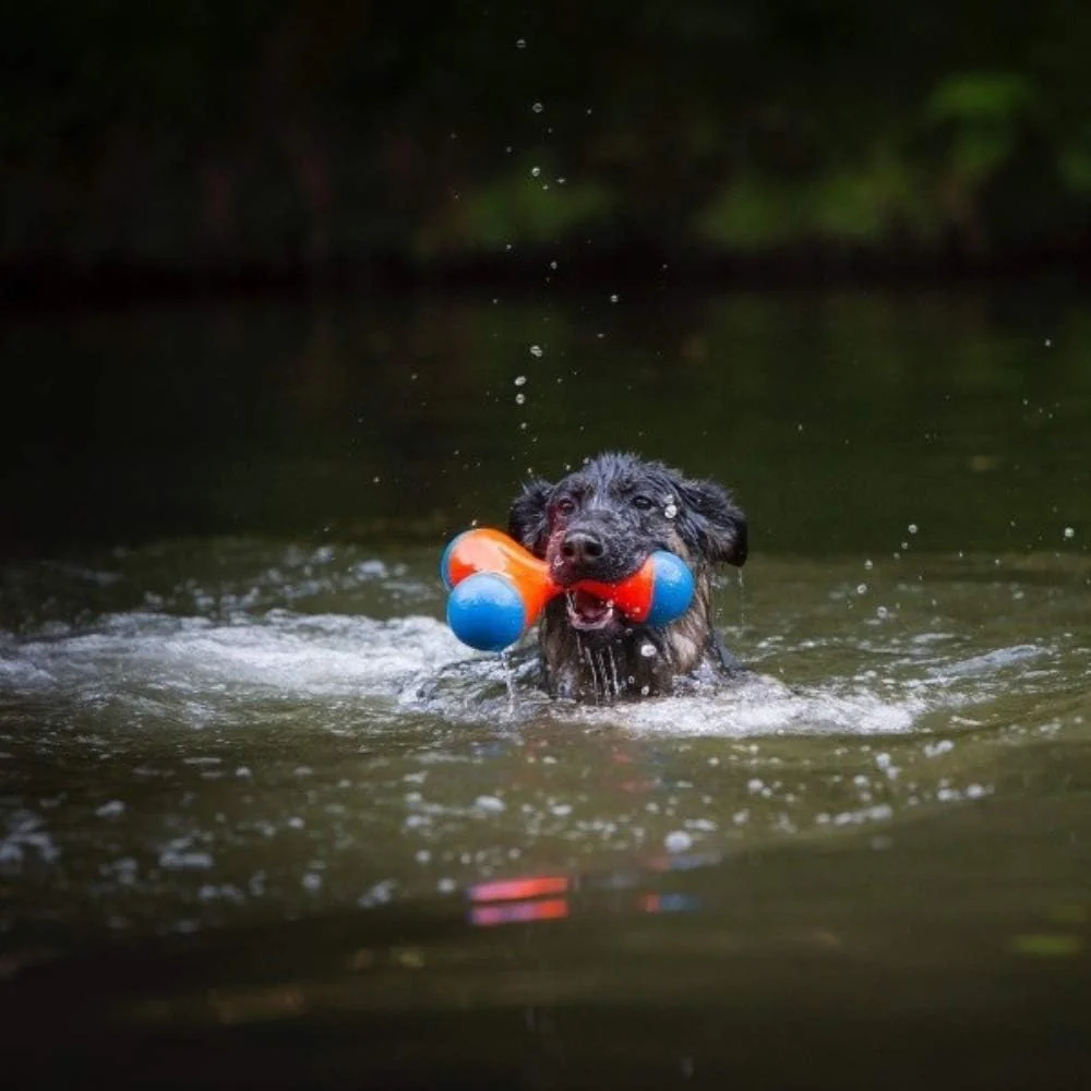 Chuckit! Amphibious Tri-Bumper Fetch Dog Toy, Black - Image 6
