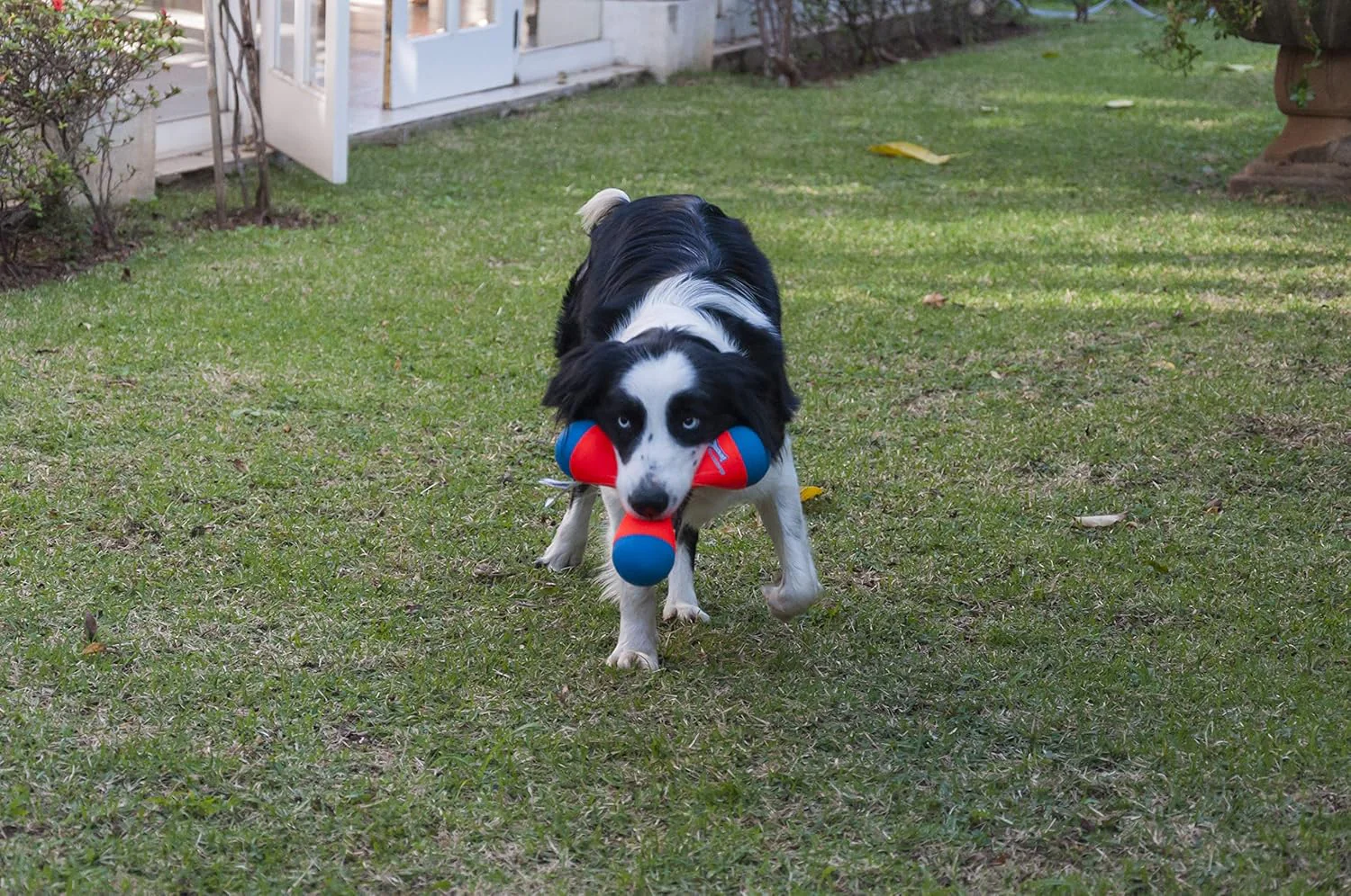 Chuckit! Amphibious Tri-Bumper Fetch Dog Toy, Black - Image 9