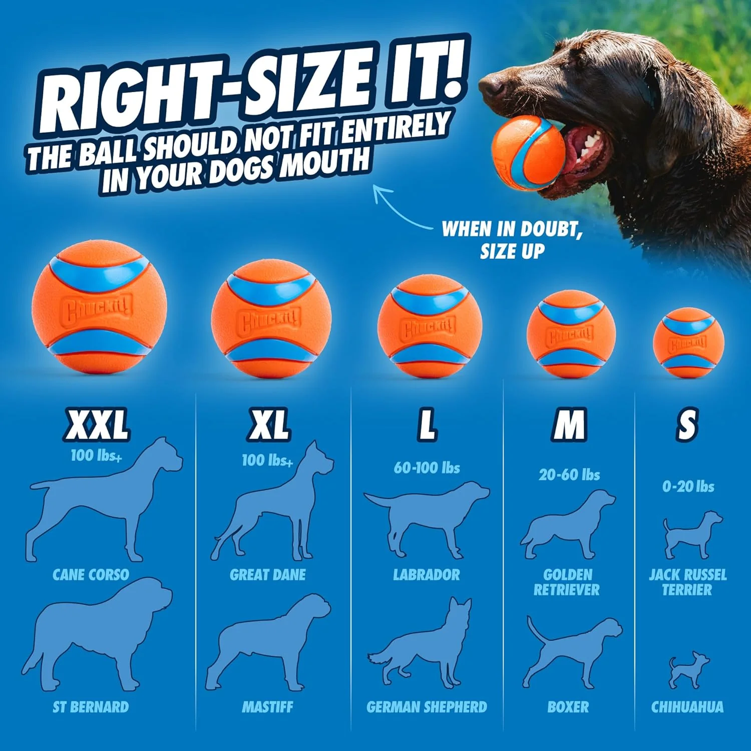 Chuckit! Dog Ball Launcher - Junior 18", Dog Fetch Ball Thrower, For Dogs 20-60 Pounds, Made in USA - Image 5