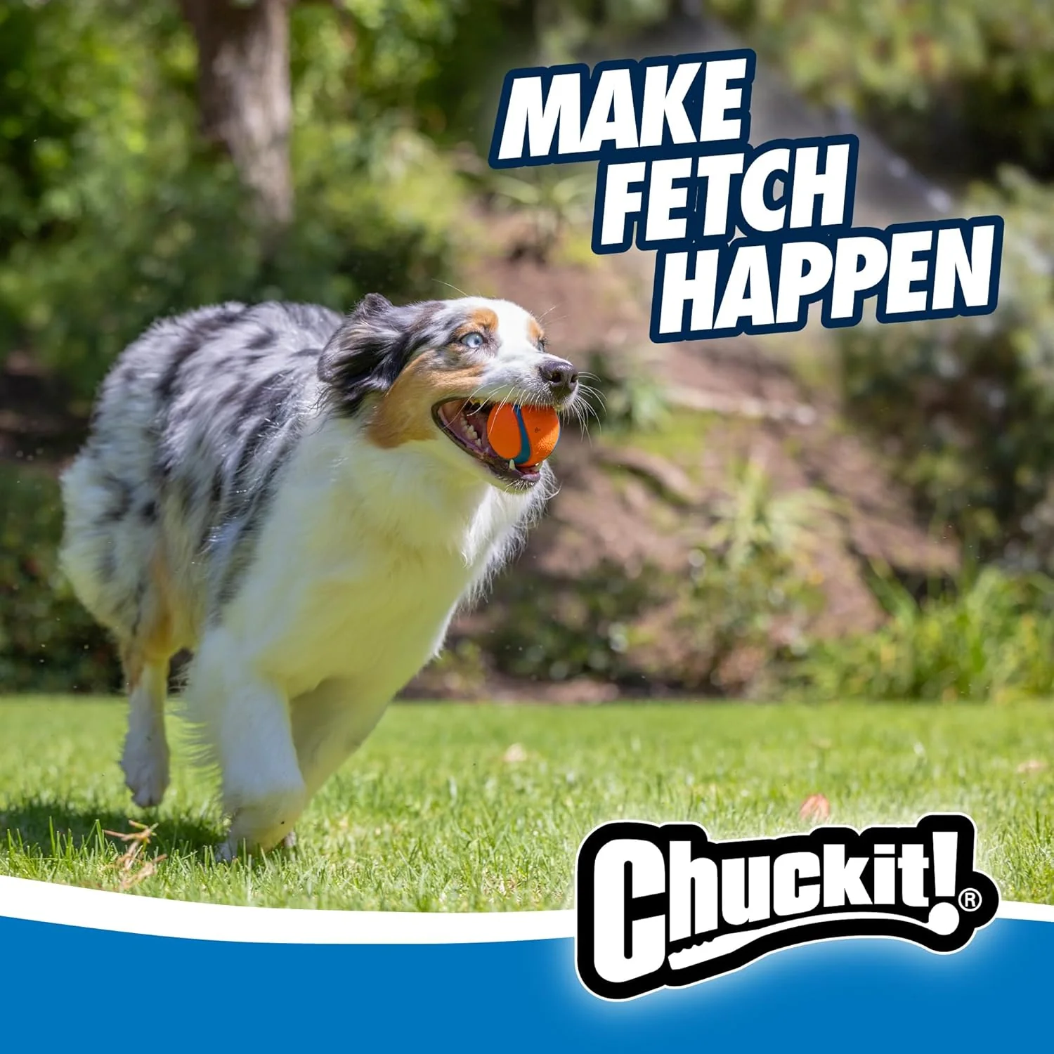 Chuckit! Dog Balls - Interactive Dog Toys, High-Bounce Fetch Ball, Floating Ultra and Rugged Balls, Durable - Image 2