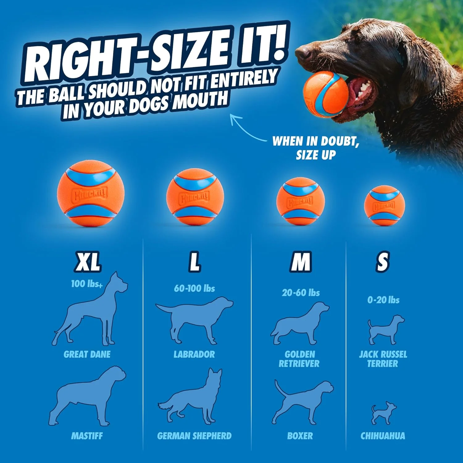Chuckit! Dog Balls - Interactive Dog Toys, High-Bounce Fetch Ball, Floating Ultra and Rugged Balls, Durable - Image 4