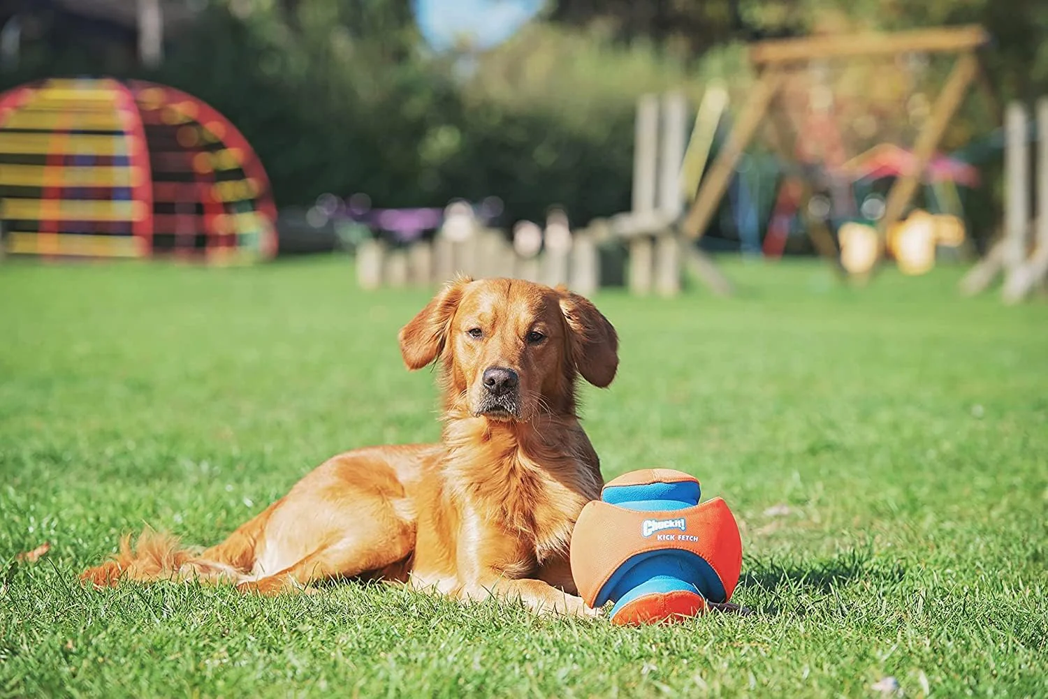 Chuckit! Kick Fetch Ball Large - Image 6