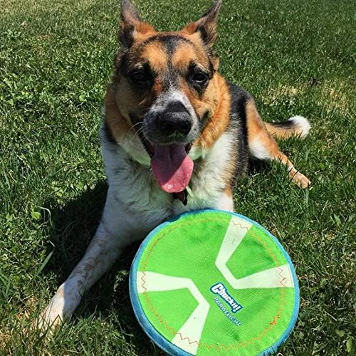 Chuckit! Max Glow Paraflight Flying Disc Dog Toy - Image 6